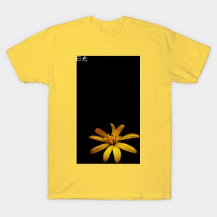 Sunlight T-Shirt